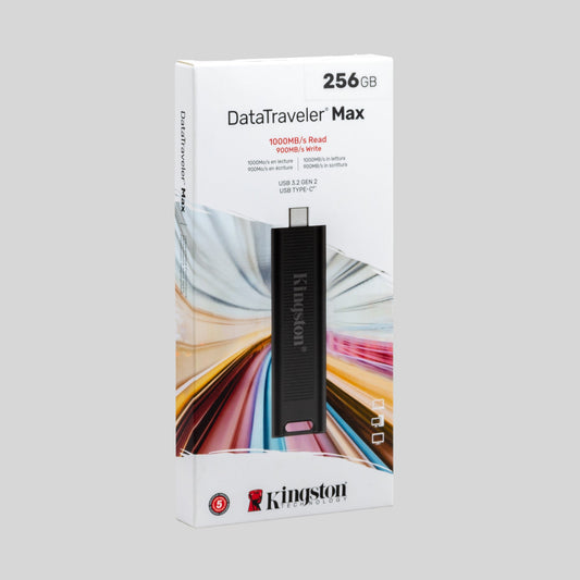 Kingston DataTraveler Max 256GB mit Verpackung Hintergrund Grau